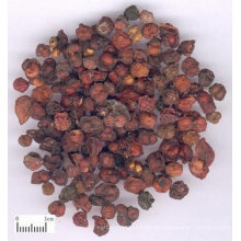 getrocknete Schisandra Chinensis Frucht